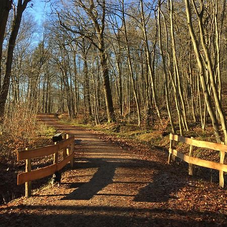 Апартаменты Waldmuehle Шлезвиг Экстерьер фото